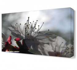 Çiçek Sapları Tablosu (1)