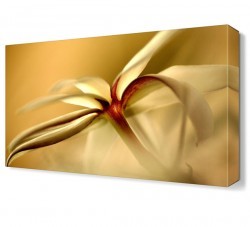 Beyaz Çiçek2 Tablosu (1)