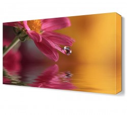 Suya Düşen Çiçek Tablosu