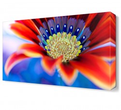 Kırmızı Renkli Çiçek Tablosu