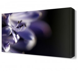 Mor Çiçek2 Tablosu