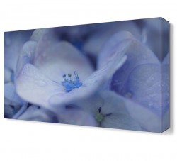 Beyaz Yapraklar Tablosu (1)