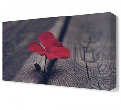 Kırmızı Çiçek3 Tablosu