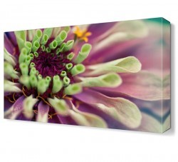 Mor Çiçek3 Tablosu (1)