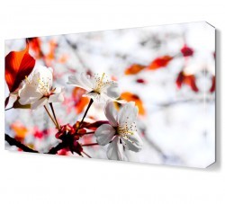 Kırmızılı Beyazlı Çiçek Tablosu (1)