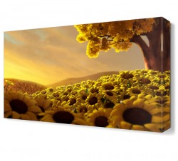 Ay Çiçeği Bahçesi Tablosu