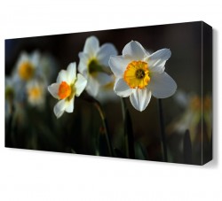 Güneşe Dönmüş Çiçekler Tablosu