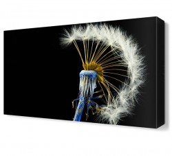 Karahindiba2 Tablosu (1)