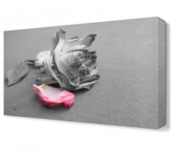 Son Gül Yaprağı Tablosu