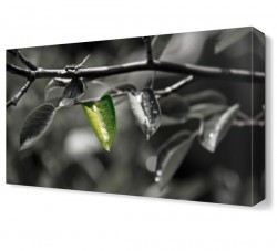 Son Yaprak Tablosu (1)