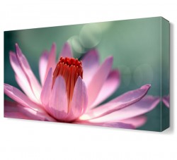 Tomurcuklu Pembe Çiçek Tablosu