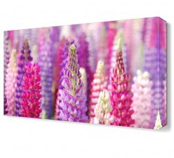 Sümbül2 Tablosu (1)