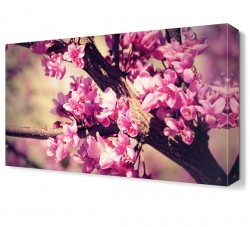 Ağaç Çiçeği Tablosu