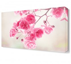 Pembe Güller Tablosu (1)