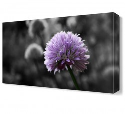 Mor Çiçek9 Tablosu (1)