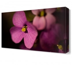 Pembe Çiçek2 Tablosu