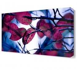 Pembe Yapraklar Tablosu (1)