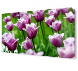 Çiçek Bahçesi Tablosu