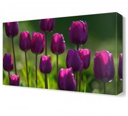 Mor Çiçek Bahçesi Tablosu (1)