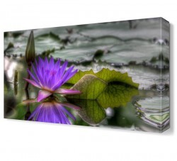 Su Çiçeği2 Tablosu (1)