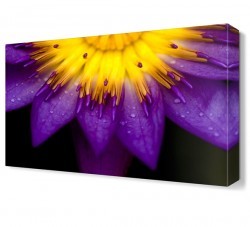 Güneş Çiçeği Tablosu (1)