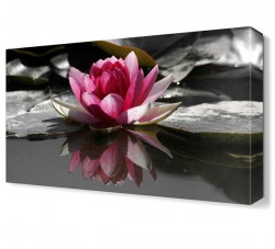 Sudaki Çiçek Tablosu