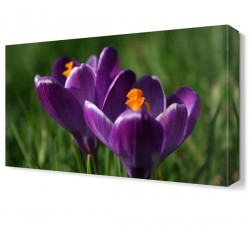 Mor Çiçek10 Tablosu (1)