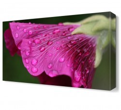 Mor Çiçek11 Tablosu (1)