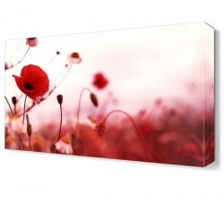 Laleler ve Papatyalar Tablosu (1)