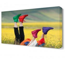 Renkli Ayakkabılar Tablosu