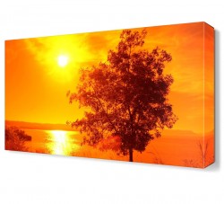 Deniz ve Ağaç Tablosu