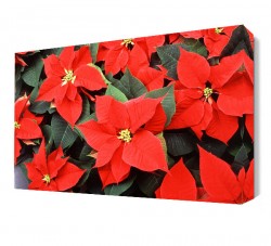 Atatürk Çiçeği Tablosu