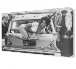 Bagajdaki Kadın Tablosu