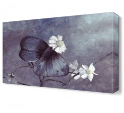 Papatya ve Kelebek Tablosu