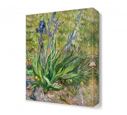 Yer Çiçeği Tablosu