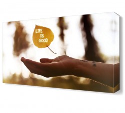 Life is Good Tablosu