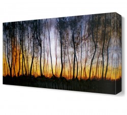 Uzun Ağaçlar Tablosu