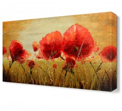 Kırmızı Gelincikler Tablosu