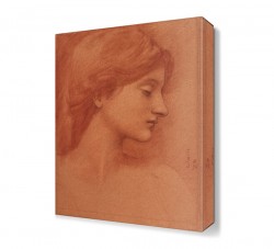 Uyuyan Güzel Kadın Tablosu