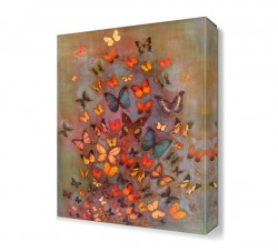 Küçük Kelebekler Tablosu