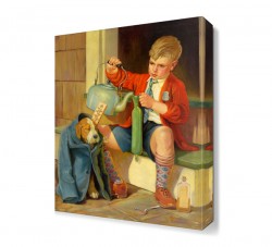 Hasta Köpek Tablosu