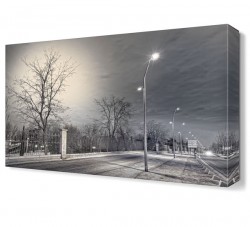 Kış Manzara Tablosu