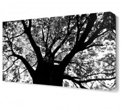 Siyah Beyaz Dekoratif Tablo