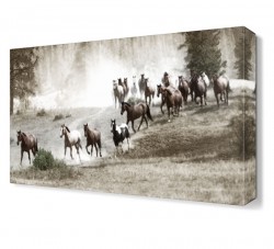 At Sürüsü Tablosu