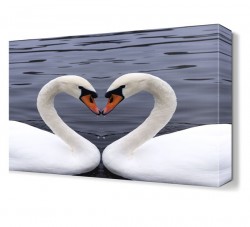 Kuğuların Aşkları Tablosu