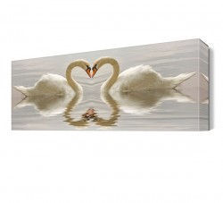 Kuğuların Kalp Şekli Tablosu