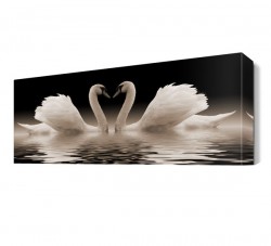 Sevimli Kuğular Tablosu