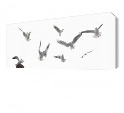 Gökyüzünde Martılar Tablosu