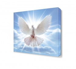 Güneşli Havada Güvercin Tablosu