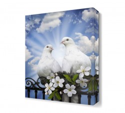 Beyaz Güvercinler Tablosu